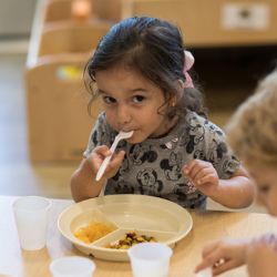 Preschoolers eating lunch